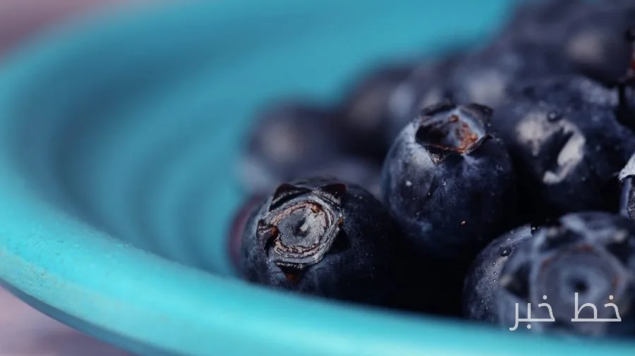 Natural compound in blueberries helps burn muscle fat