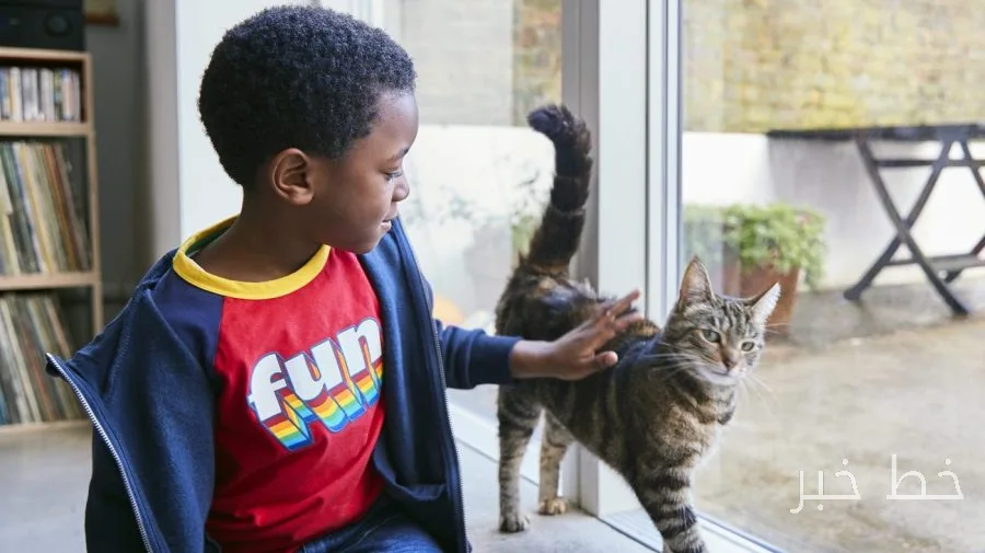 Research Shows Cats Are Linked to Increased Anxiety and Behavioral Problems in Children
