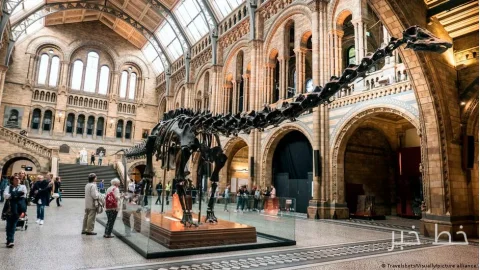 Researchers Find Evidence of Diplodocus Dinosaur in Europe
