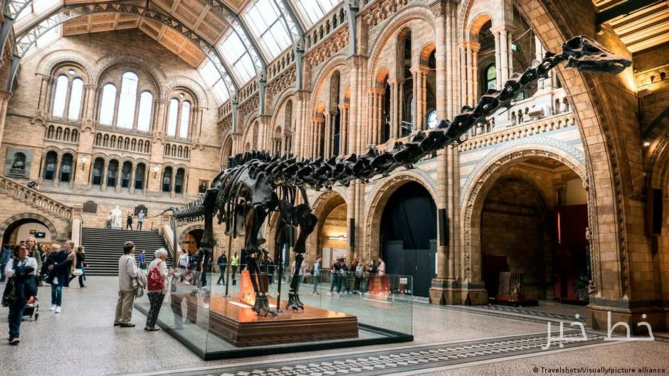 Researchers Find Evidence of Diplodocus Dinosaur in Europe
