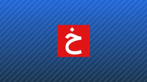 New Jersey Polizei bändigte eine Gruppe von entlaufenen Pferden