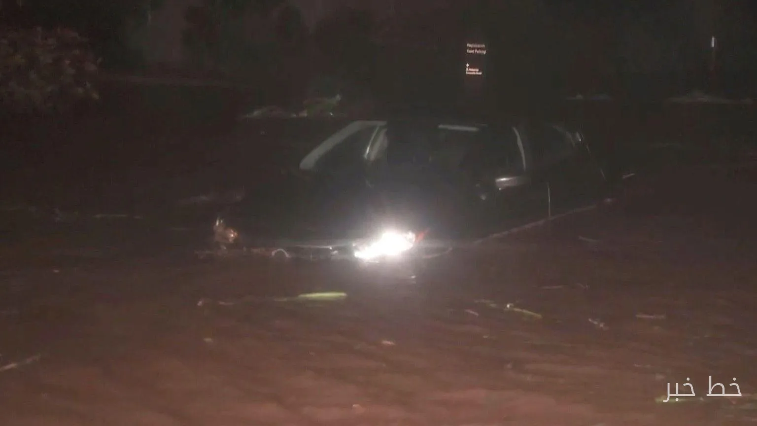 Tropical Storm Loul in Hawaii: Fallen Trees and Devastating Floods