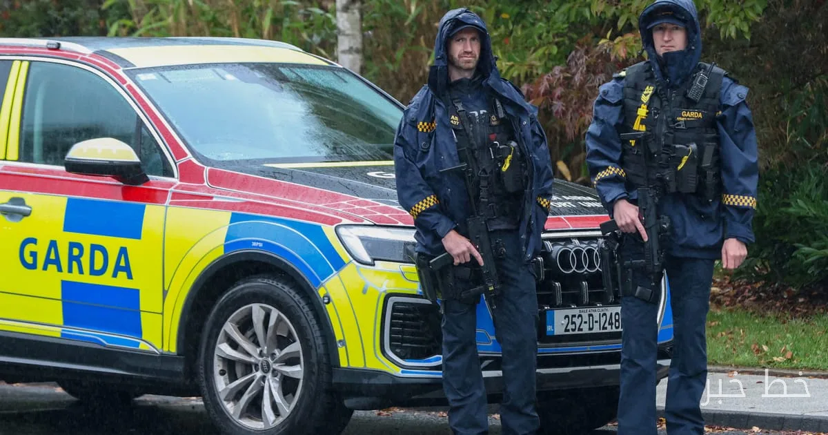 Attack on Michael Healy-Rae Raises Concerns About the Security of Irish Politicians