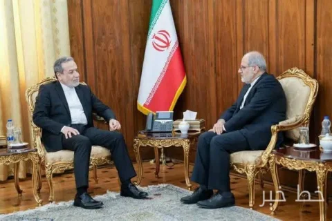 عراقچی بر بهره‌گیری از ظرفیت‌های دیپلماسی برای صیانت از منافع ملی تاکید کرد