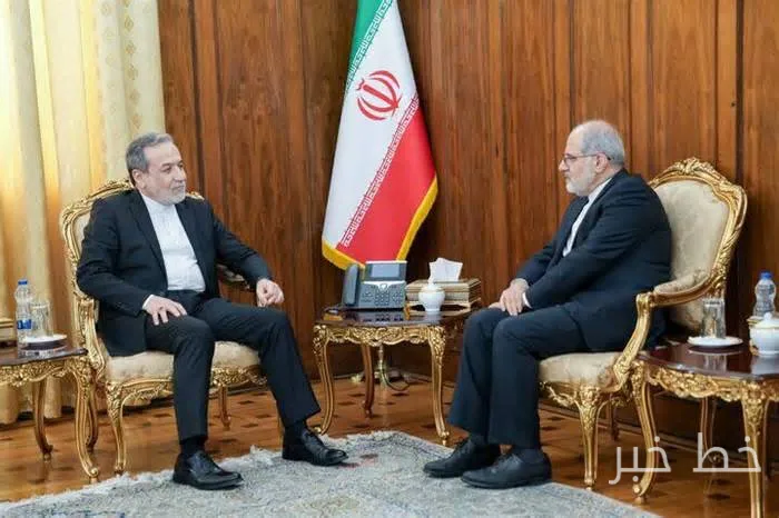 عراقچی بر بهرهگیری از ظرفیتهای دیپلماسی برای صیانت از منافع ملی تاکید کرد