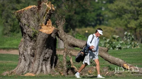 Trumps Plan für den Golfplatz wurde zu einer Herausforderung für die Macht der Gerichte