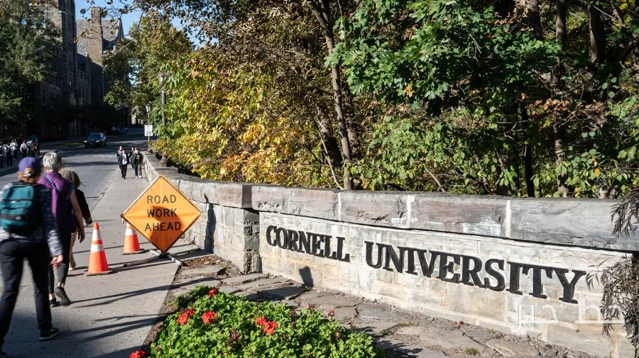 The performance of sexual assault prevention programs at Cornell University was examined