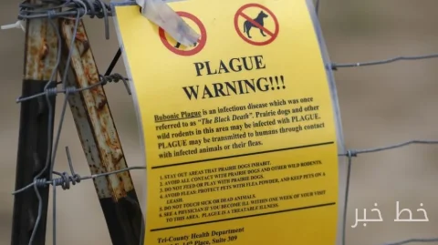 The death of a laboratory technician in Russia raises concerns about the plague