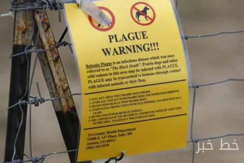 Plague cases continue to be reported in the United States