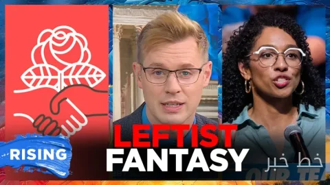 Democrats' Concerns About Their Support for Socialism and Its Financial Implications