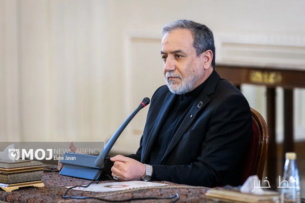 سید عباس عراقچی بر اهمیت دیپلماسی و امنیت تاکید کرد
