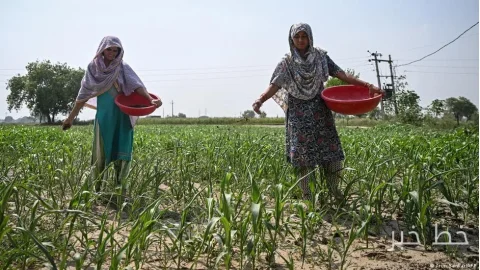 Monsoon Failure Causes Water and Electricity Crisis in India